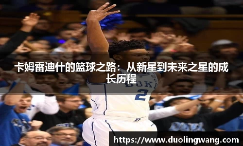 星空体育平台官网入口